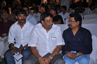 Racha Audio Launch Photos